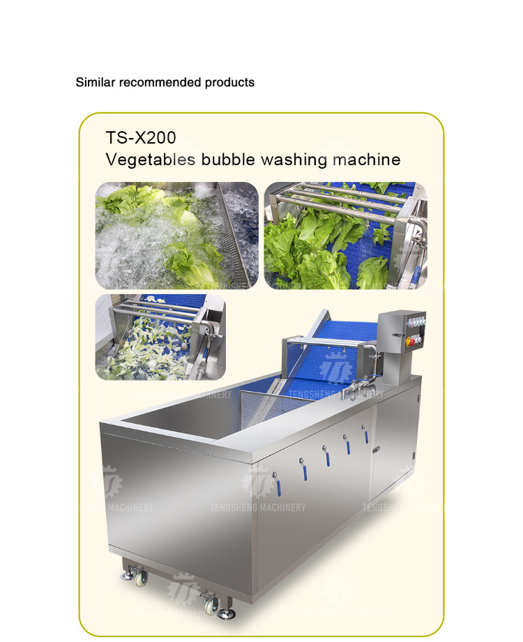 240KG Multifunctional commercial sterilizing and washing machine factory direct fruit and vegetable bubble cleaning