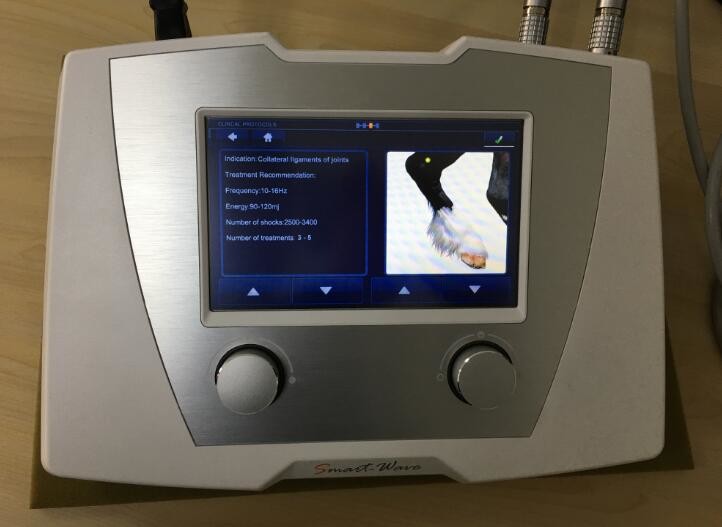 Veterinary Equine Shockwave Machine For Animals Soft Issue / Tendon Injury