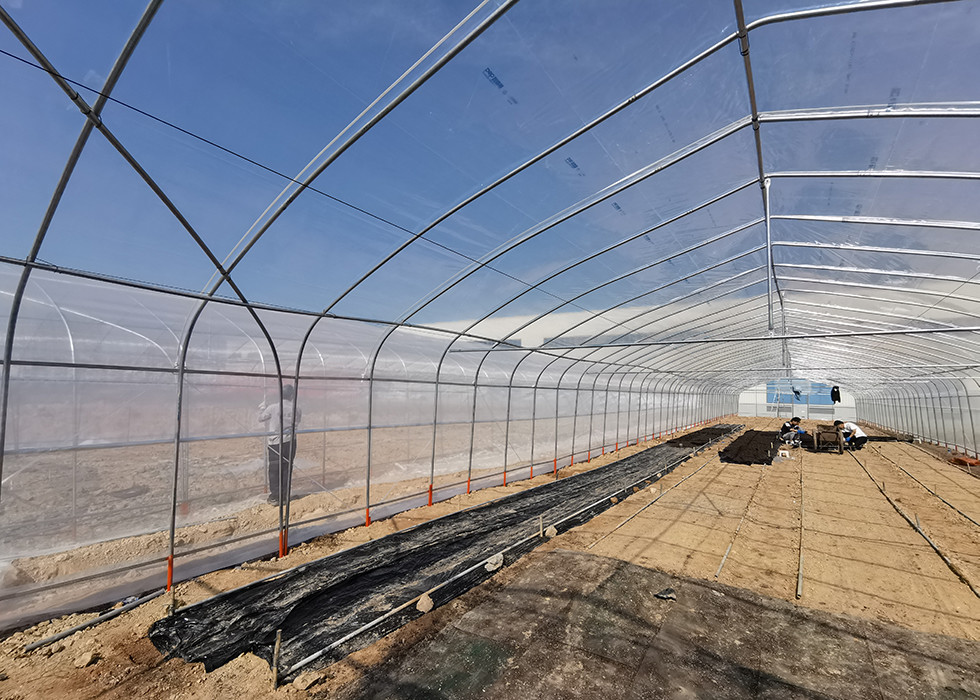 HDPE Insect Net House Galvanized Steel Pipe For Vegetable Seedling Nursery