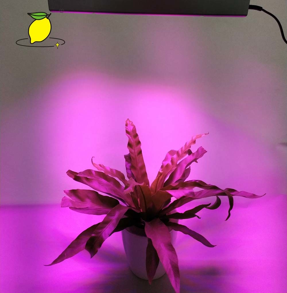 Waterproof 625nm 265V Plant Growth Light