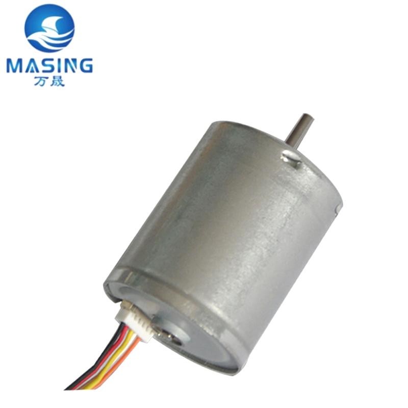BL2430 370 Brushless Motor 24mm Inrunner 12 Volt DC Brushless Motor With Drive