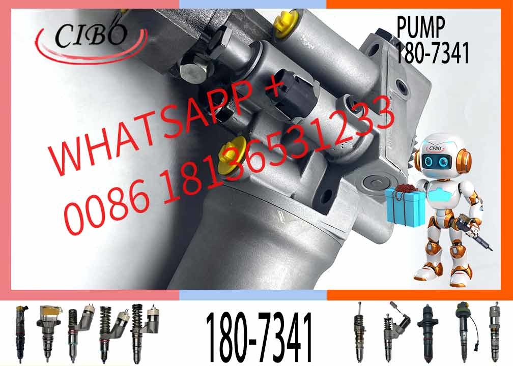 High Quality And Inexpensive Fuel Injection Pump 180-7341 10R-2995 For Excavator 322C 325CL