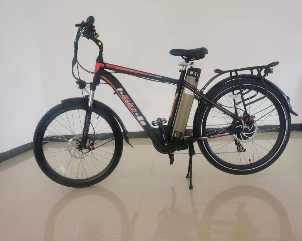 48v 23ah 48 Volt Bicycle 48v 16ah 17ah Ebike 48v 250w Two Wheel City Bike Arrow 10
