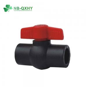 Buy cheap US 2/Piece Samples Socket Joint PE Pipe Fitting Water Valve Plastic HDPE Ball Valve product