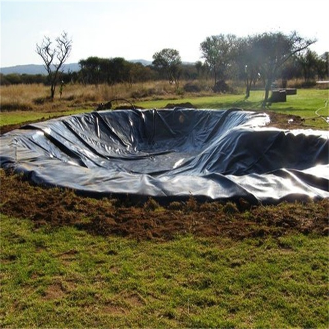 Smooth Pond Liner HDPE Geomembrane 1mm for Fish Farming in Environmental Applications