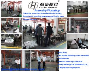 Taizhou City Lihao Plastic Mould Factory