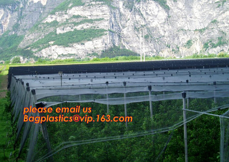 100% new HDPE insect mesh / anti bird net for apple trees,greenhouse anti insect net for plant, agriculture net Anti-ins