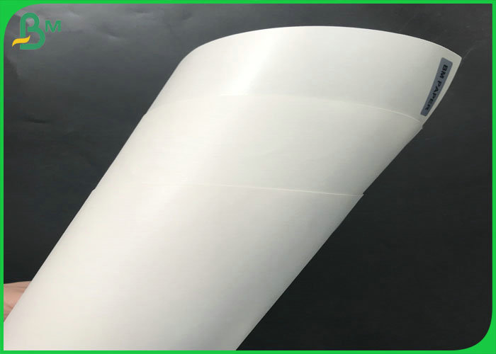 pe coated paper