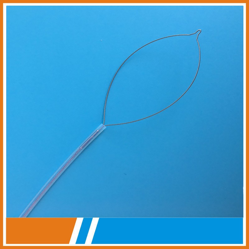 Cold snare polypectomy and hot snare polypectomy