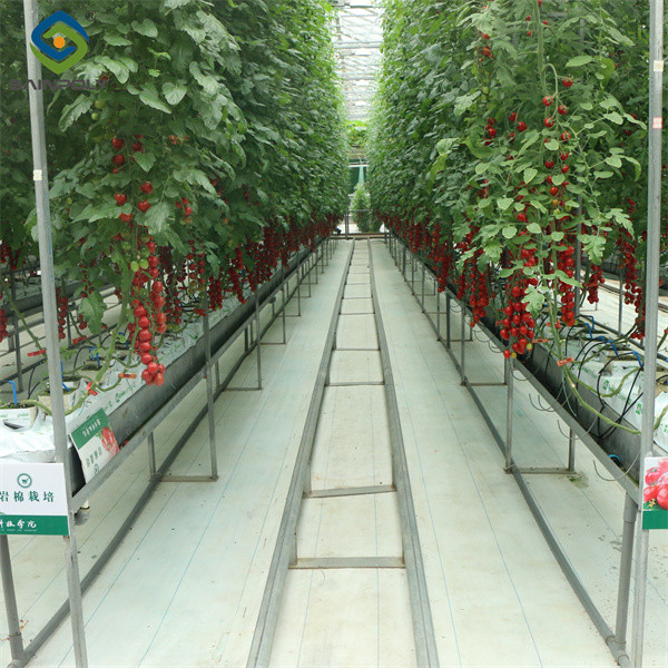 Greenhouse Hydroponics Gutter System With Grow Bags For Growing Tomato