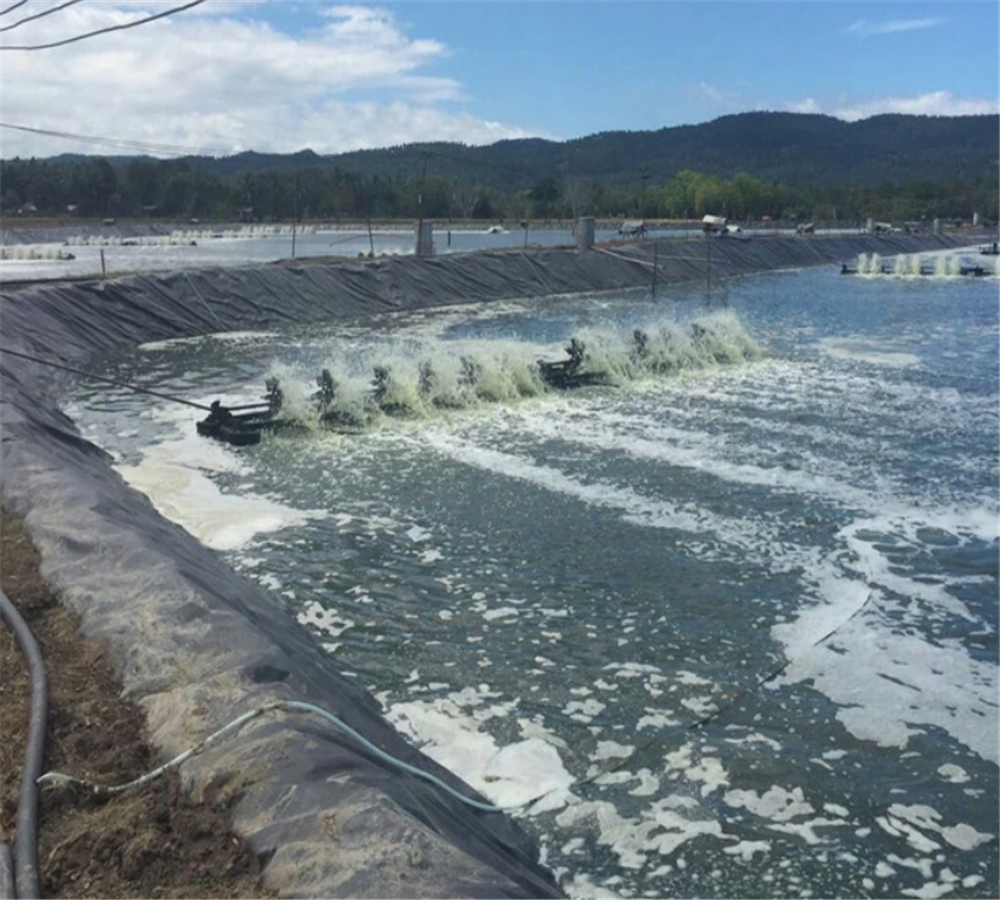Customized Outdoor PVC Geomembrane Fish Farming Tank Pond Tarpaulin Shrimp Pond Liner