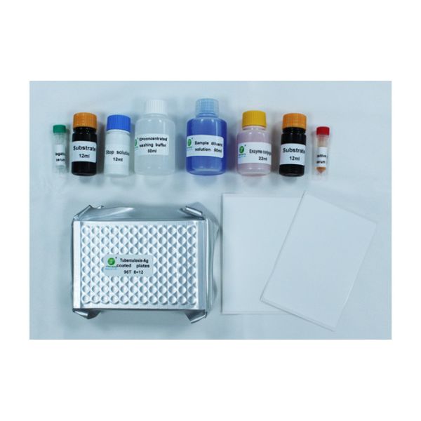ELISA Tb Veterinary Test Kit Tuberculosis Antibody For Bovine Sheep