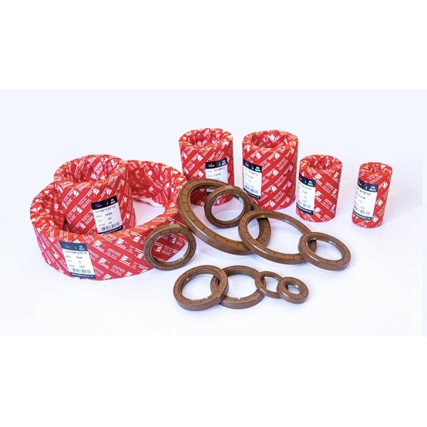 TCV Skeleton Oil Seals Machine Rotary Shaft Oil Seal For Temperature Environments