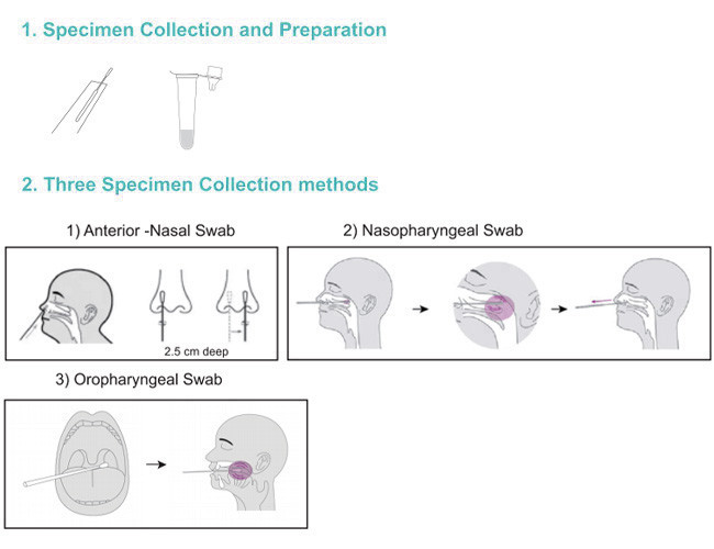 Accuracy 99.68% Antigen Tests Home Kit SARS-CoV-2 25 Tests/Kit Colloid Gold Method