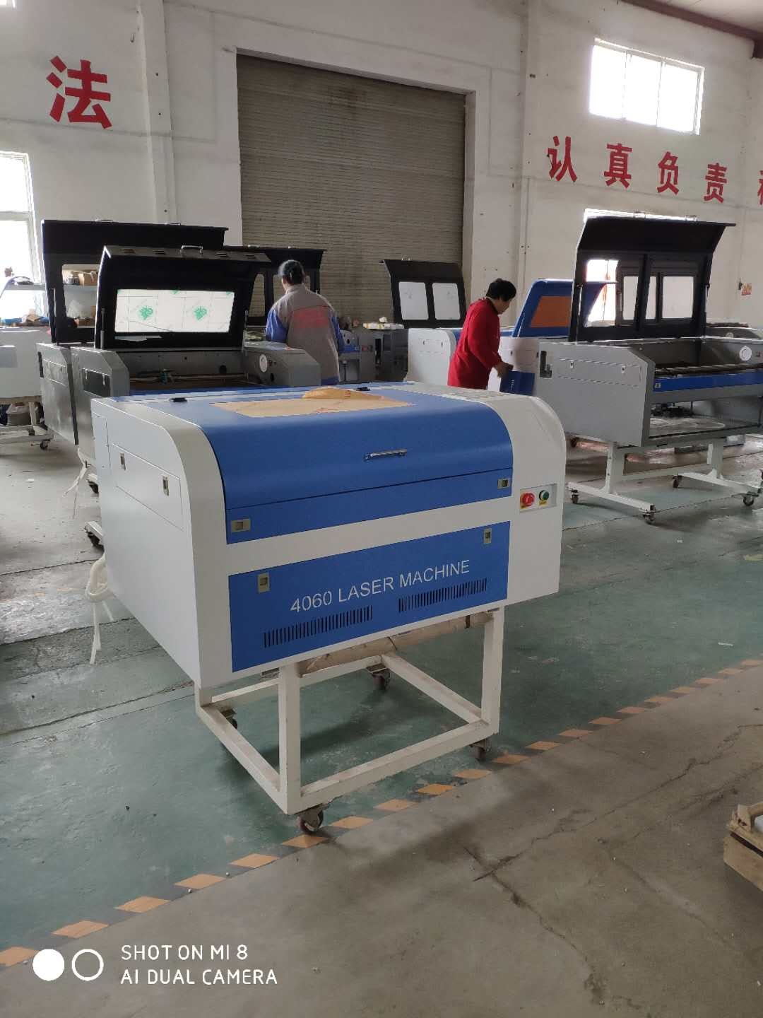 AC220V Coreldraw Wood Engraving Machine /Blue And White Laser Cutter Engraver 0-500mm/S