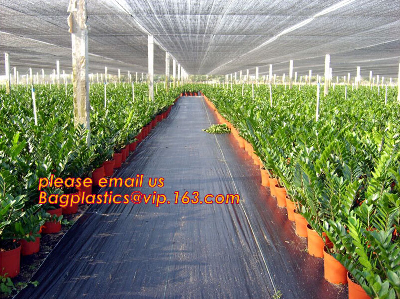 100% new HDPE insect mesh / anti bird net for apple trees,greenhouse anti insect net for plant, agriculture net Anti-ins