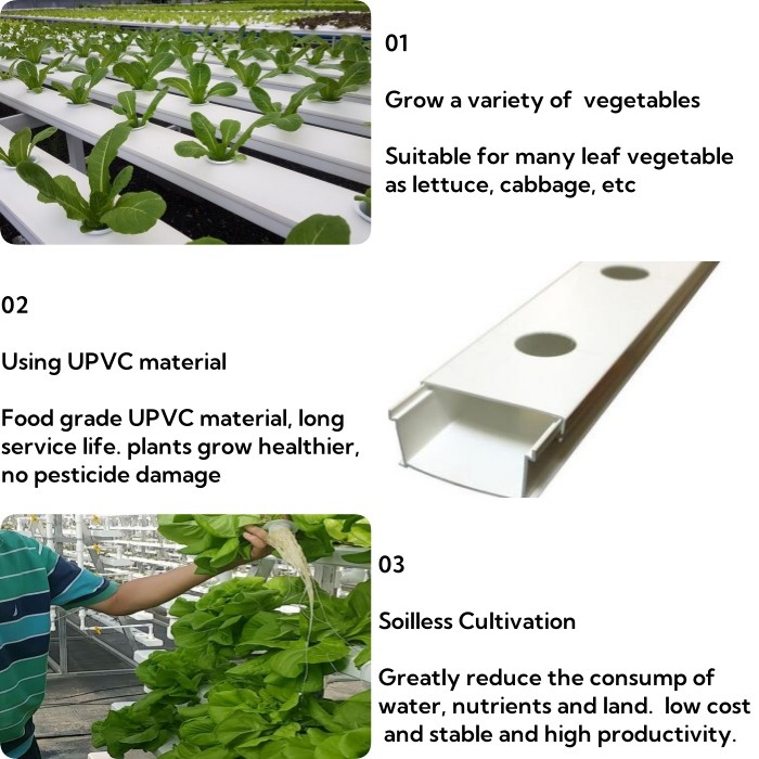 100x50mm Nft Hydroponic Gutter System Rain Pvc Channels Grow System For Lettuce Strawberry