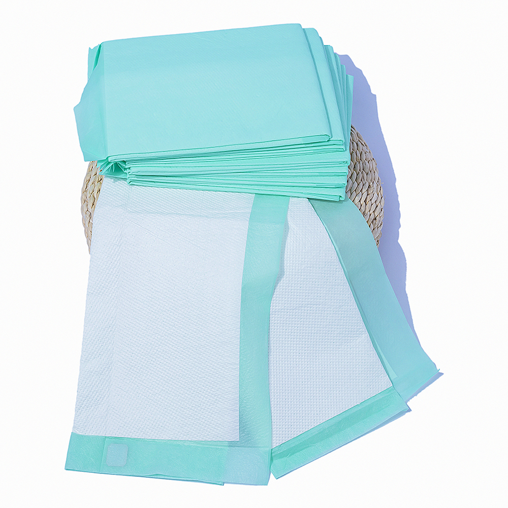 S&J Disposable Polypropylene PP Non Woven Thong T-back Panties Bikini,Opaque,SPA,Spray Tanning Beauty Salon Single One Time Use