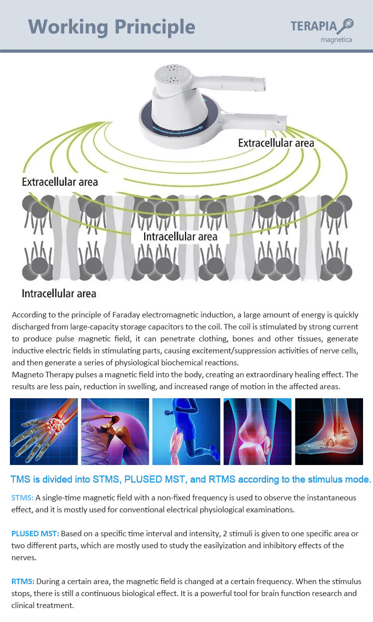 1000W Electromagnetic Transduction Therapy Air Cooling For Body Pain Relief / Muscle Recovery