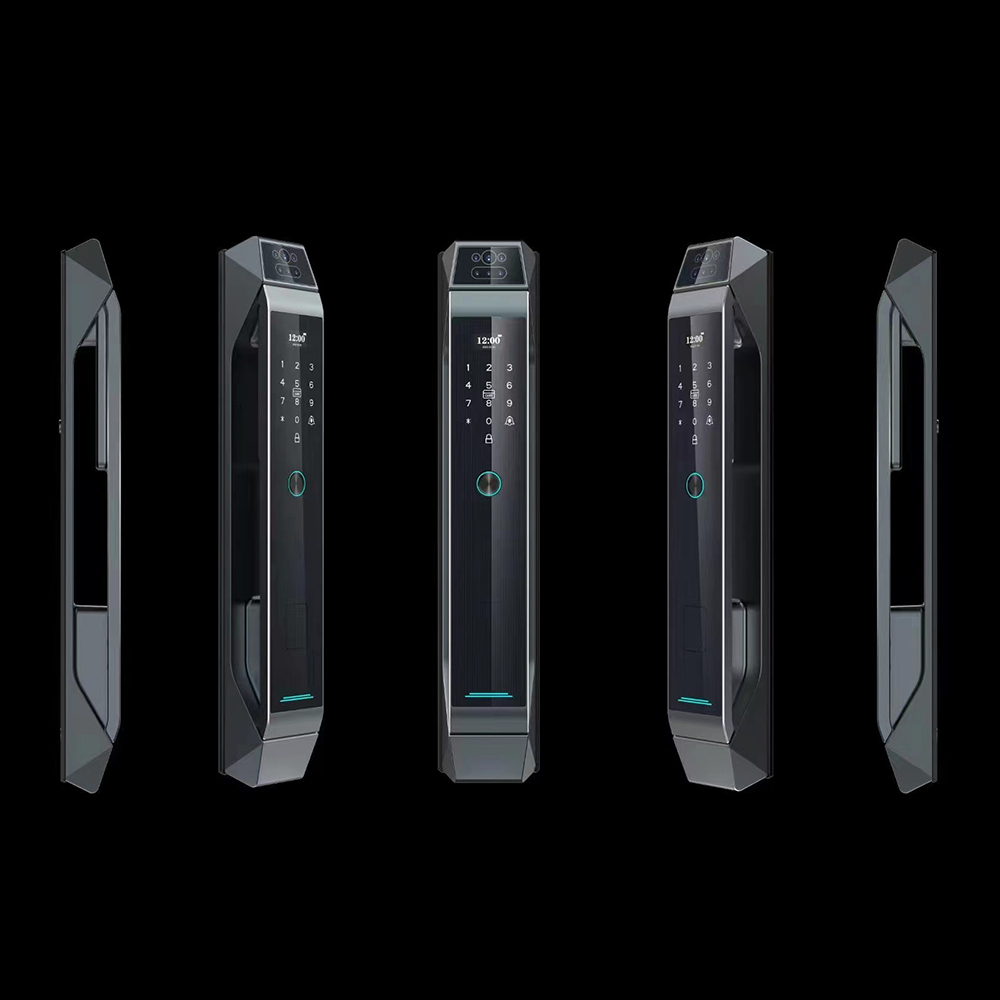 Apartment Face Recognition Smart Lock / Black Fingerprint Security Door Lock