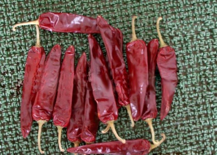 Red Hot Chili Pepper Ring Guajillo Cut 1-20KG/CTN 0.5-1.5cm