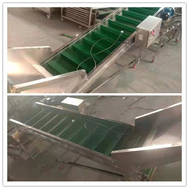 Mushroom grading machine, mushroom sorting machine,mushroom classification machine