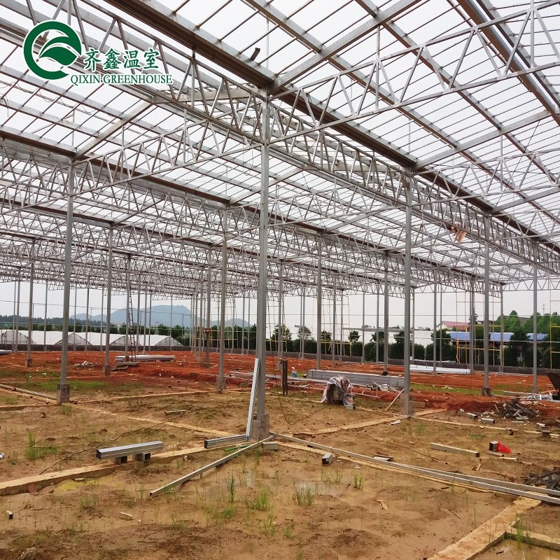 Customized Glass-Covered Vegetable Greenhouse for Restaurant Growth