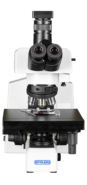 Opto Edu M12.5851 BF XYZ Stage Motorized Laboratory Biological Microscope