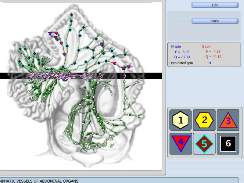 8D Lris NLS Stable and Faster Health Diagnosis Disease Detecting at Home Physiotherapy
