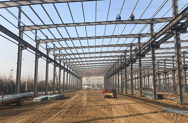 structural Engineered Steel Buildings Clean Span Warehouse Workshop