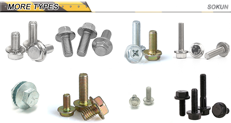 Ss Stainless Steel 3/8" Flange Bolt M16 X 100 M10X125 316 Grade M38 M26 Hexagonal M8X2 M32 Bolts 5.8 Hex Flange Bolt