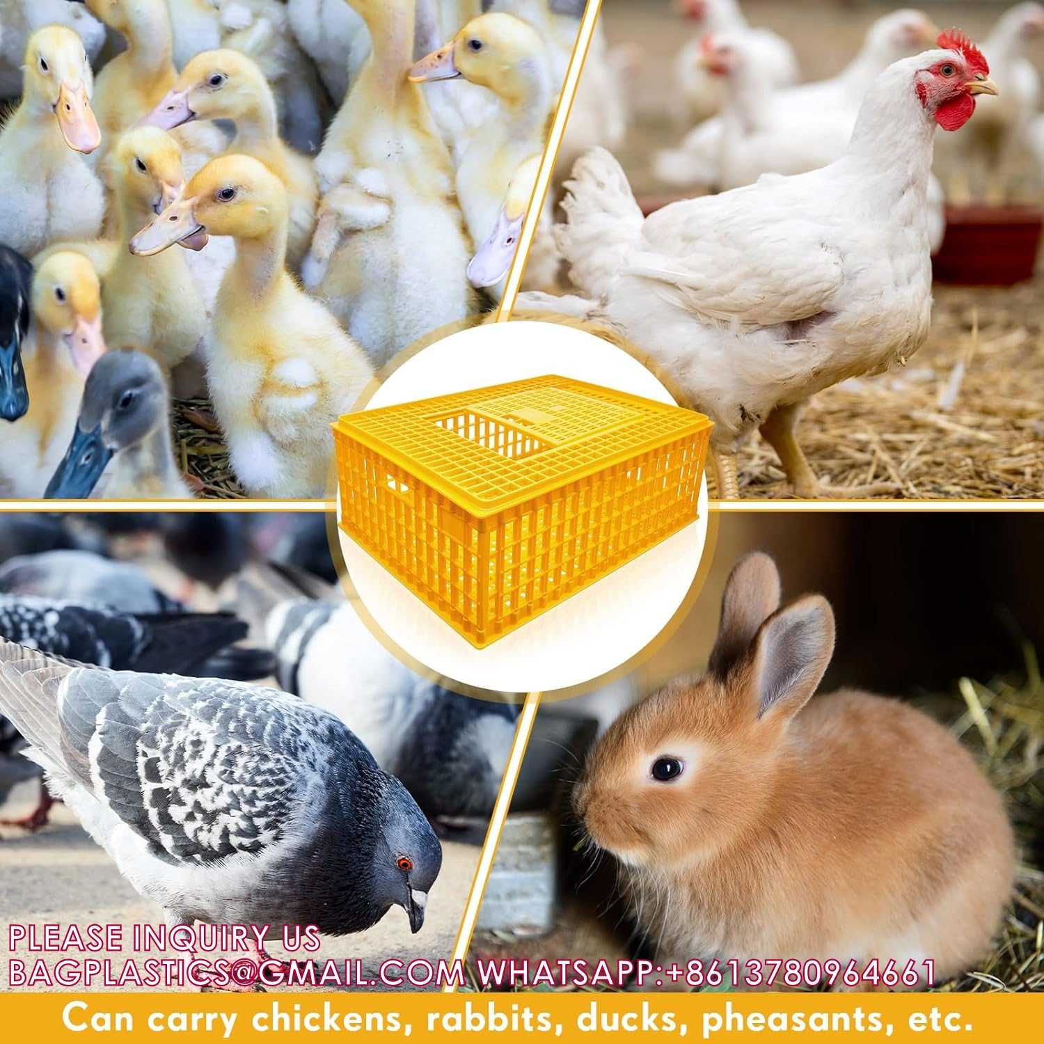 Poultry Carrier Crate Chicken Transport Cage Bird Chicken Carrier Travel Crate Basket Box