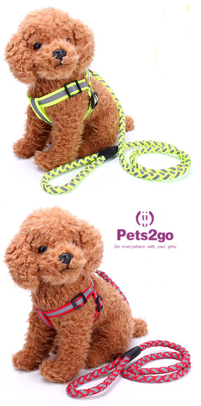 Pet Training Dog Shock Collar Puppies Tools Basic Concepts Learning Curve