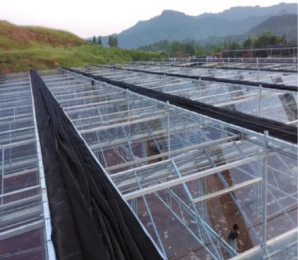 Agriculture Poly Tunnel100% Blackout Automatic Light Deprivation Greenhouse for Canada / USA