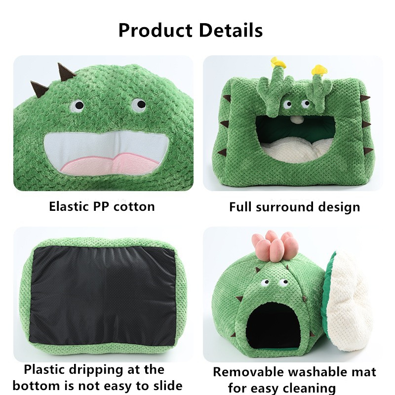 cat cactus bed