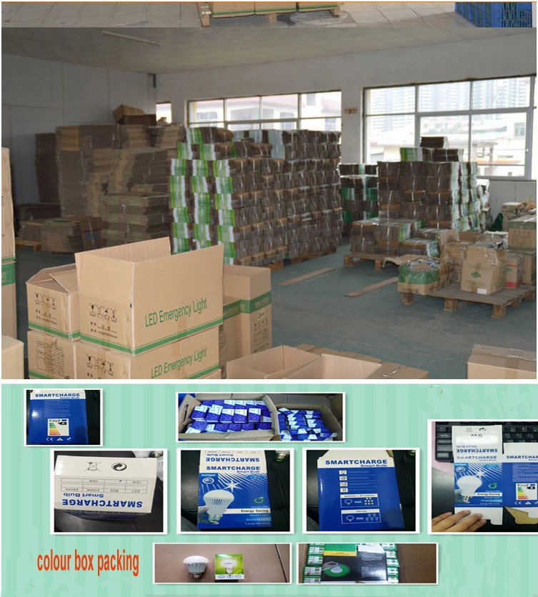 White Fluorescent Emergency Light , Non Maintained LED Fluorescent Light
