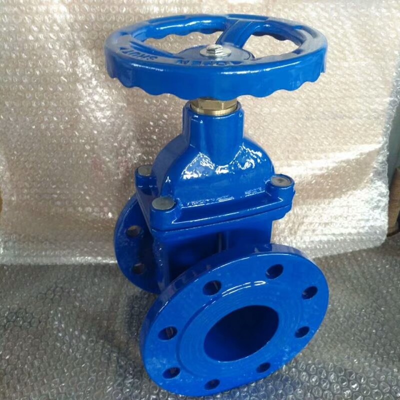 NRS ANSI DIN3352 F4 F5 Rubber Resilient Seated Cast Iron non-rising Stem Gate Valve HT200 BS Flanged Manual Handwheel