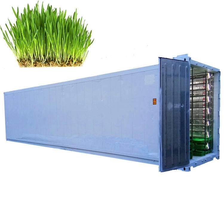 Germination Hydroponic Fodder System / Cattle Green Fodder Growing Machine