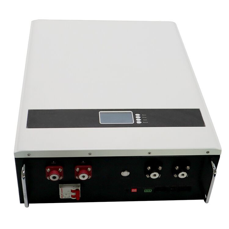 Home Solar Energy Storage 5KWh Wall-Mounted LiFePO4 Battery 51.2V 100Ah