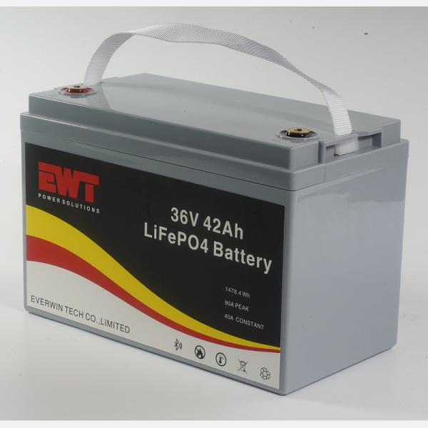 Plastic Casing Lifepo4 Battery Pack 36V 42AH for Outdoor BBQ Energy Storage