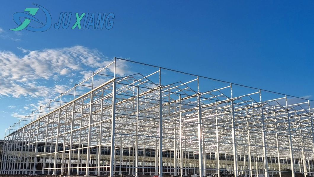 Hydroponics Stromal Humidity Control Multi-Span Seedling Glass Greenhouse