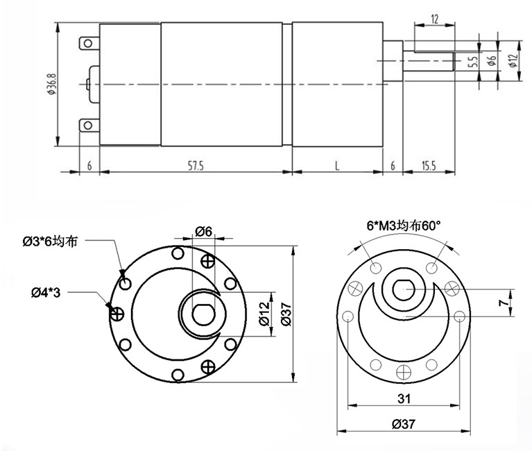 JGB37-555 12 Volt Dc Motor High Torque Dc Motor 24v 650rpm Permanent Magnet