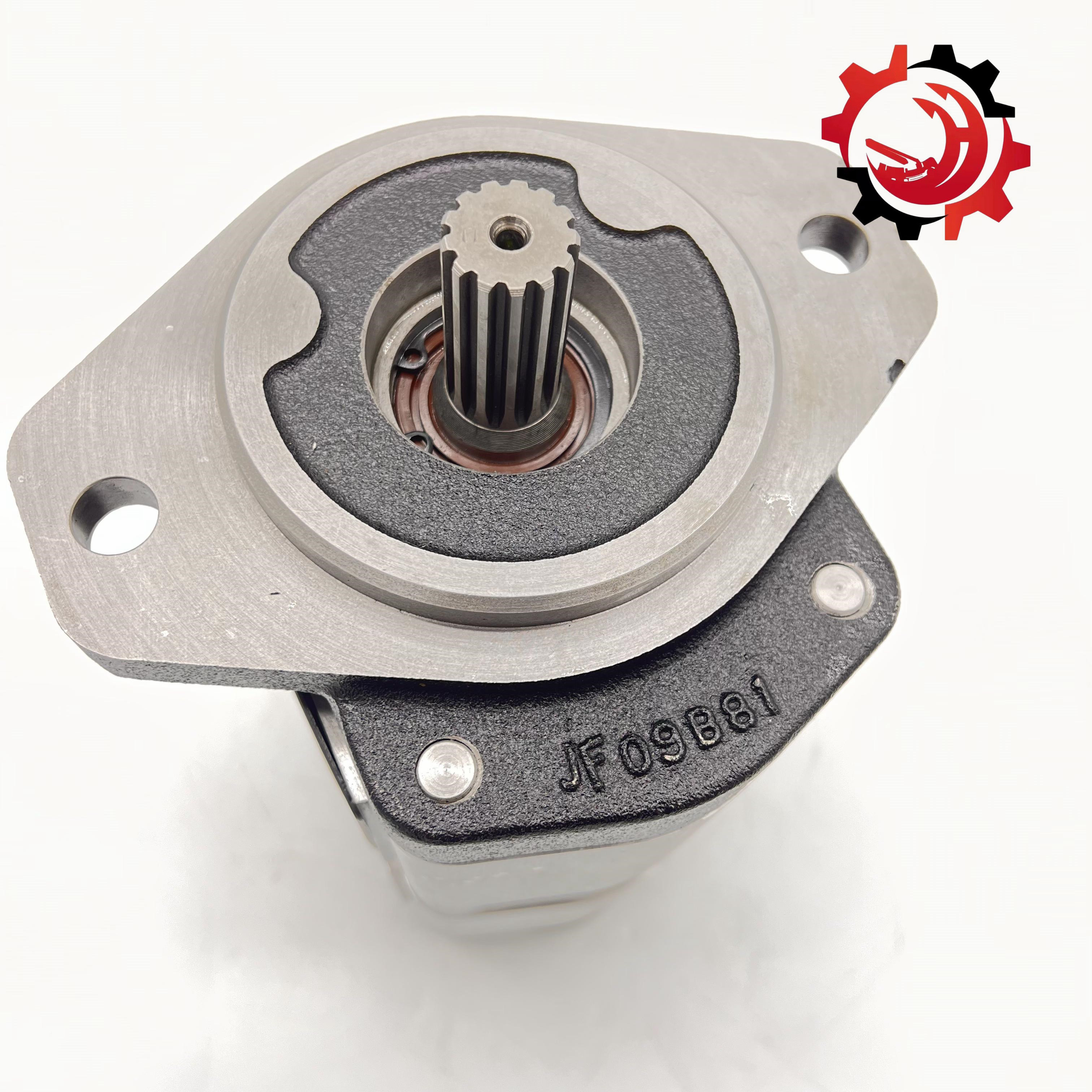 OEM Gear Pump CBFB4-F2516K1-1Y Ordering Colors Concrete Pump Truck Parts For National Standard Machinery