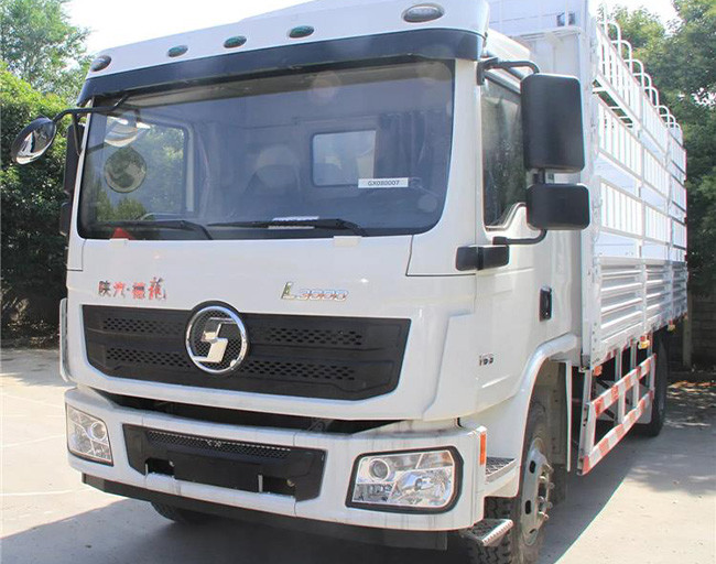 245HP Support Customization l3000 shacman Cargo Truck 4x2 Transport Vehicle