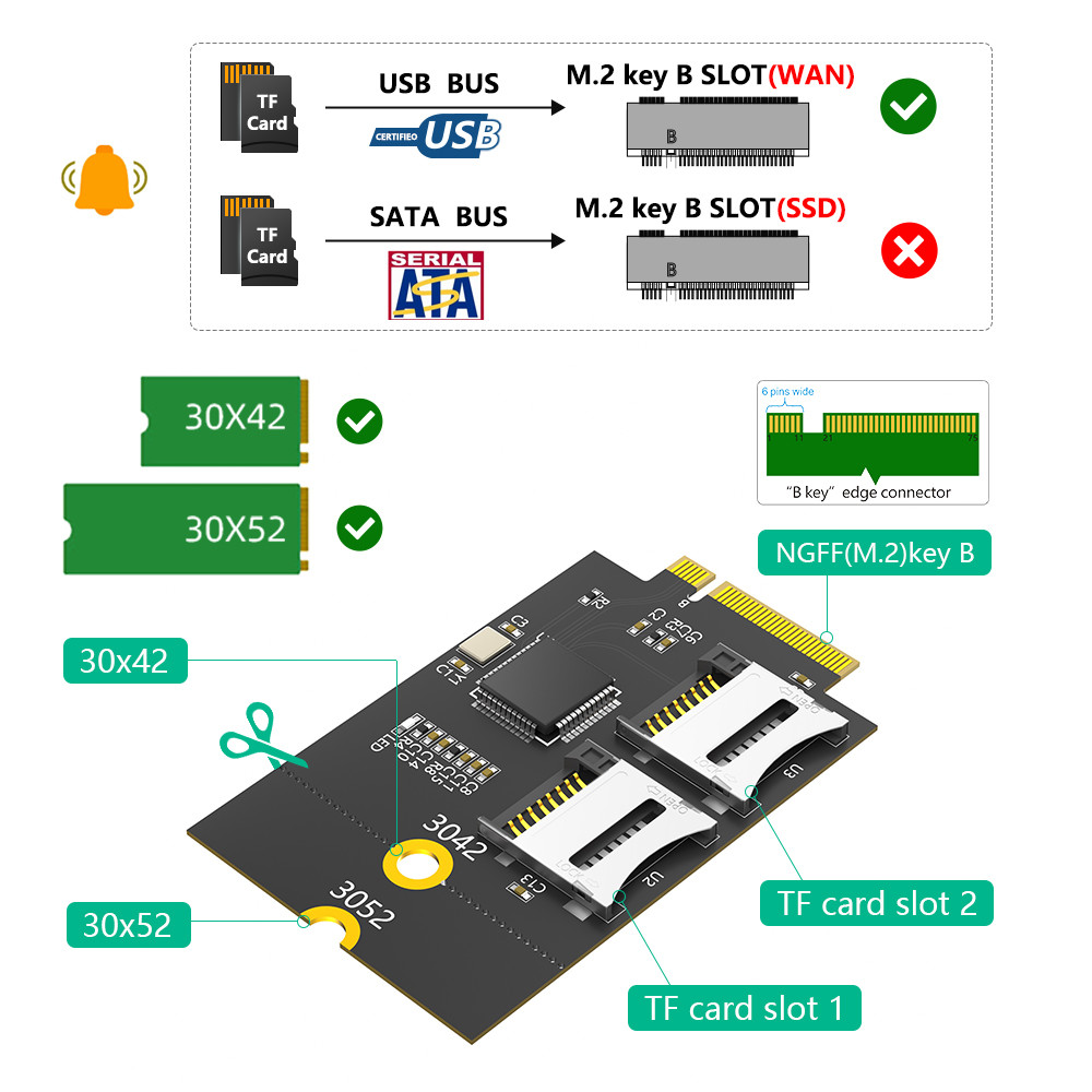 Dual Micro SD Card, TF Card to NGFF M.2 Key B Adapter(Supports USB Bus, not SATA Bus)