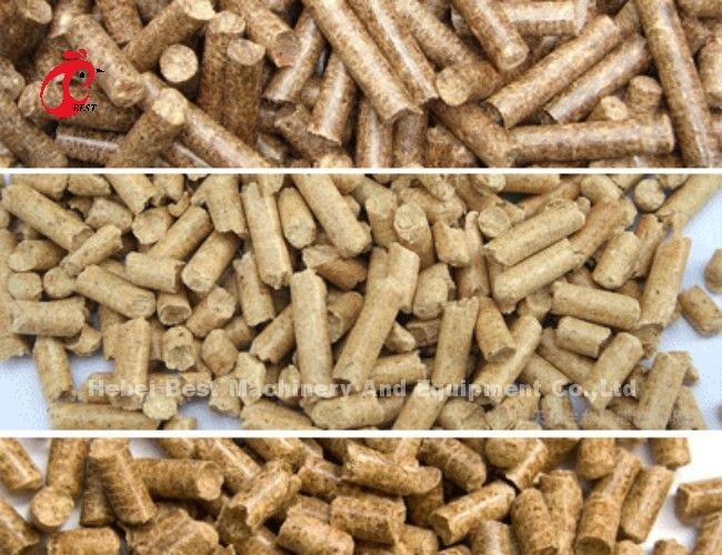 Household Poultry Pellet Feed Plant Machine Easy Operate 220v Adela