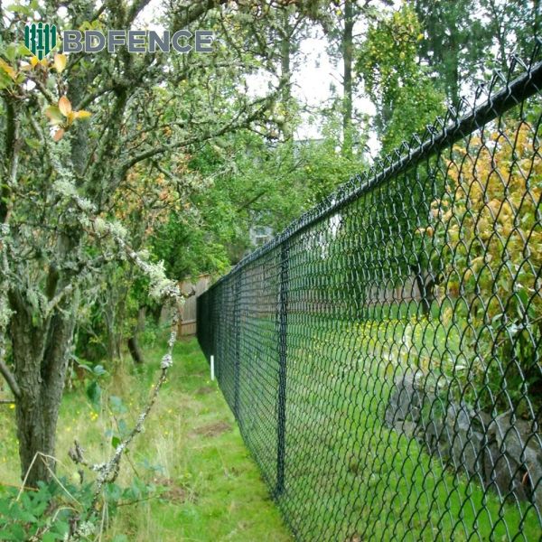 Gated Chain Link Fence Access