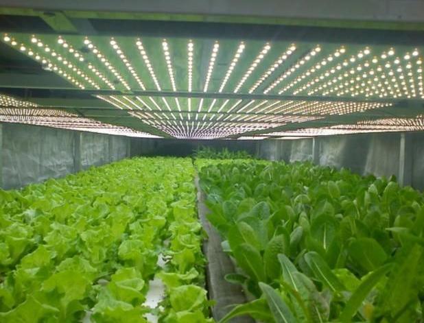 Anti-Drip Fogging Double-Film Greenhouse Structure