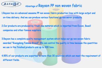 Foshan Rayson Non Woven Co.,Ltd