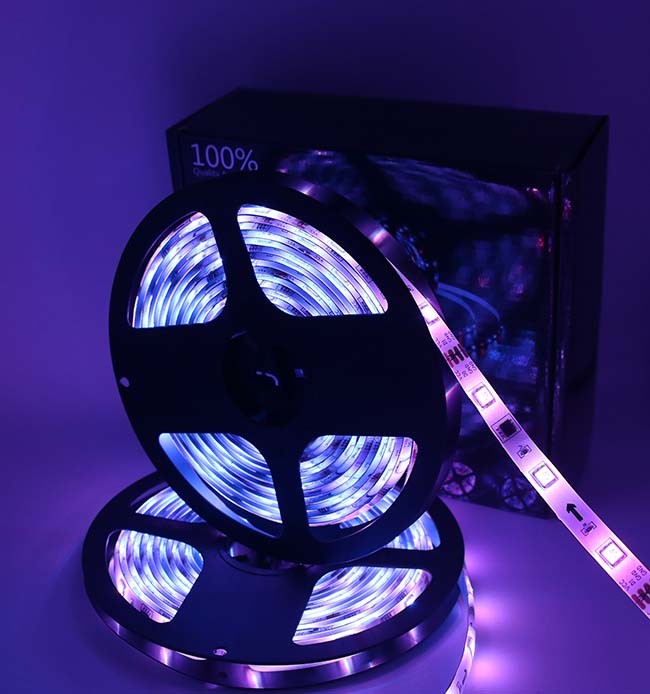 12V IP65 10M Dreamcolor RGB LED Strip